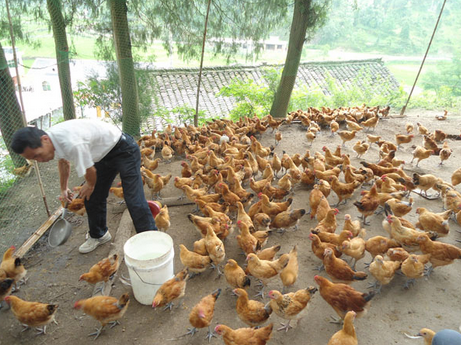 广西钦州市：举办养殖技术培训，促进农民增收