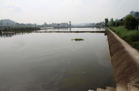 江苏常熟市举办水产养殖技能培训，养殖户实际中获益