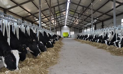 拉萨市城关区大力打造高标准现代化奶牛养殖中心
