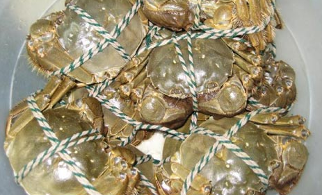 湖北嘉鱼县灾后第一批螃蟹出水供应中秋市场
