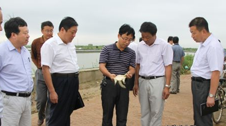 江苏射阳盐场兴阳养殖区2016年预计上市甲鱼达8-10万斤左右