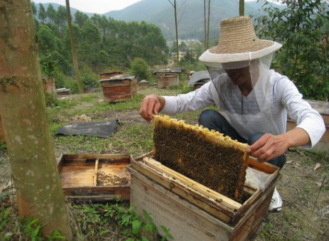 海南省海口市永兴镇举办2016年精准扶贫蜜蜂养殖实用技术培训班