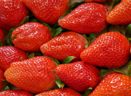 湖北：十堰市张湾区草莓产业帮助20户贫困户脱贫致富