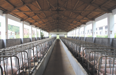 江苏泰州全力秸秆“双禁”和畜禽养殖污染治理工作