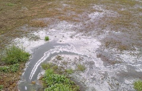 湖北荆州区养殖场污染遭投诉，监察队及时跟踪督办