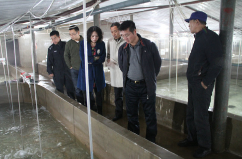 湖北：鄂州华容区开展水产品质量安全监督检查