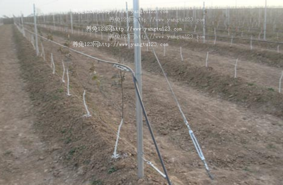 2018年农业发展前景：河北省“智慧农业”让灌溉节水增效