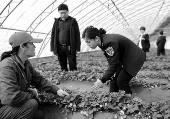 沧州市质监局大力推进农业标准化示范区建设