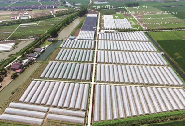 2018年农业发展前景：太原古交市找准项目发展特色农业产业