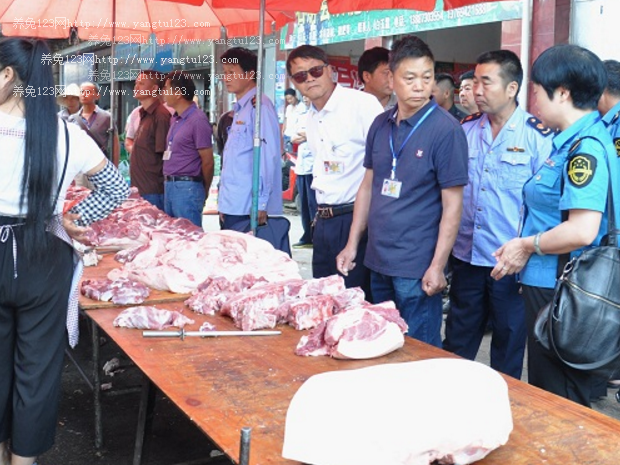 红河州石屏县多部门联合开展打击违法制售病死猪肉行动